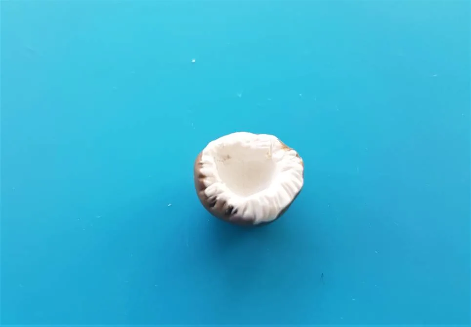 how to make a polymer clay coconut