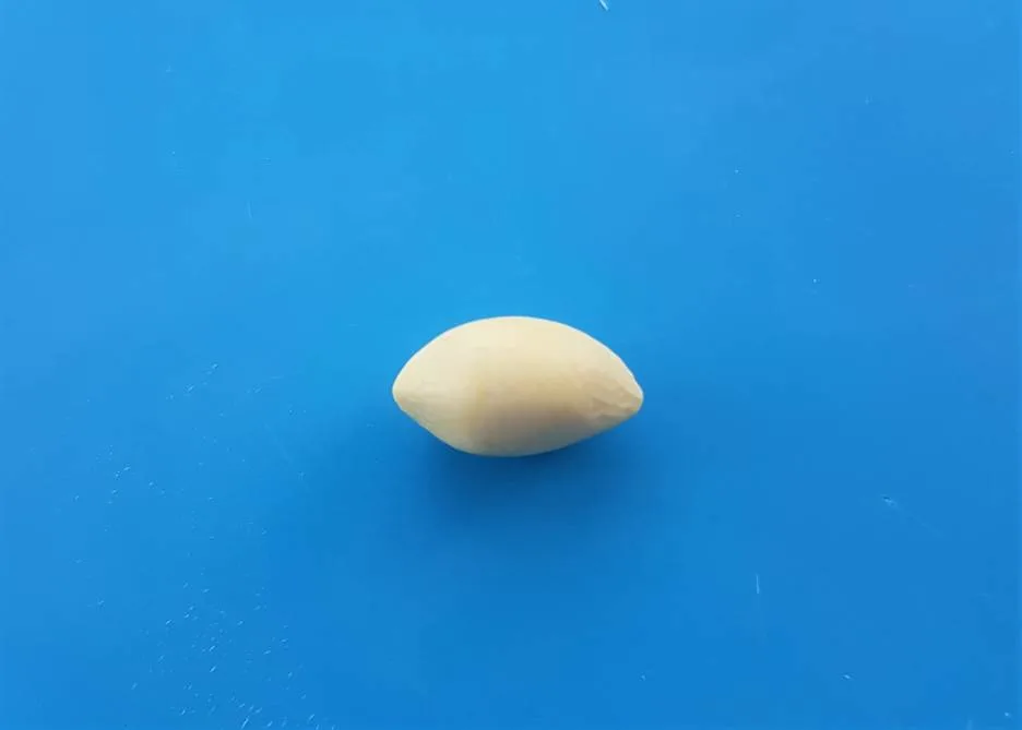 how to make a polymer clay lemon