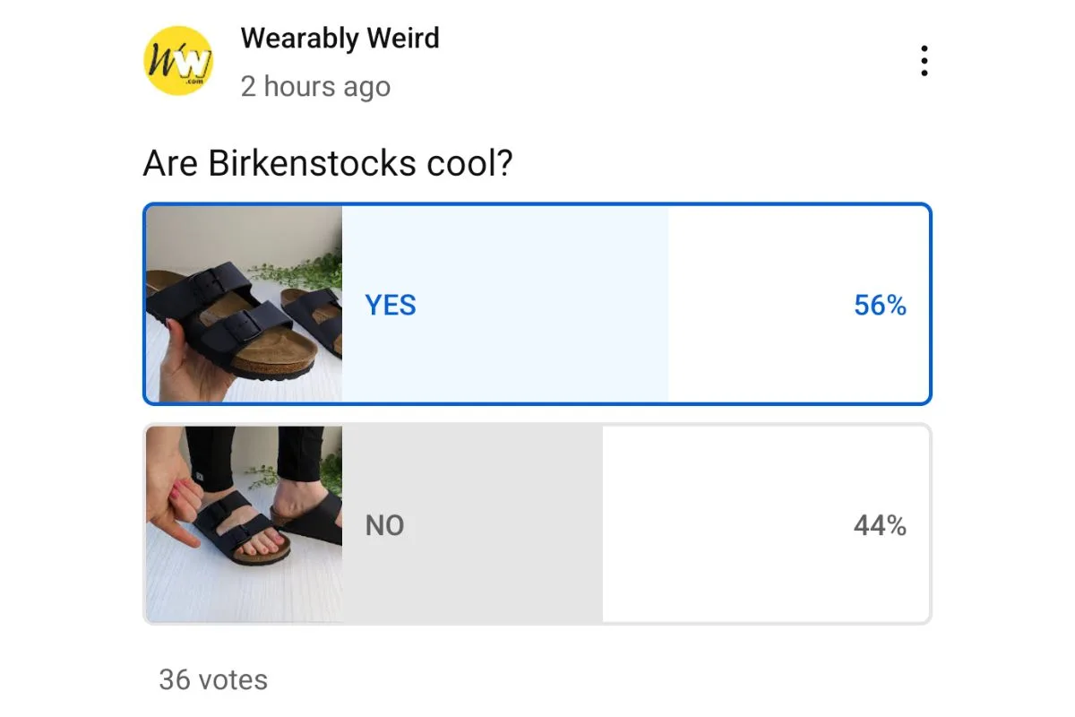 Are Birkenstocks Cool YouTube Poll